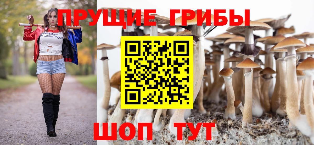 Балаково  Галлюциногенные грибы Psilocybe  Вход с VPN 