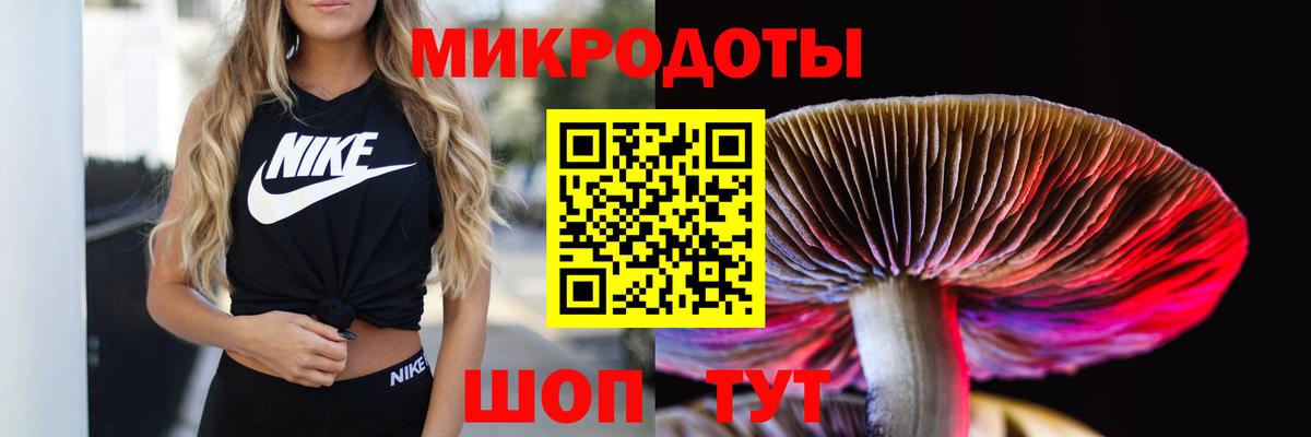 Галлюциногенные грибы Psilocybe Балаково